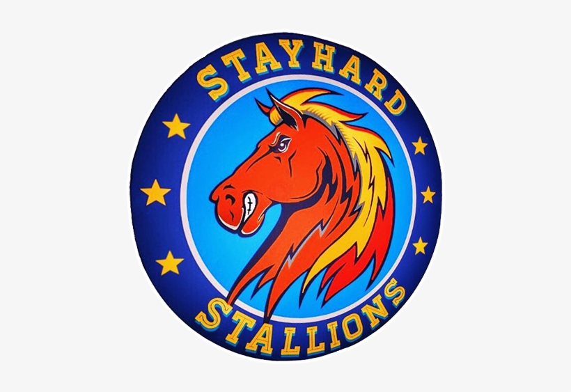 Stayhard Stallions - Mustang Horse, transparent png download