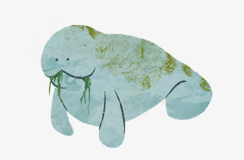 And In The Spirit Of Christmas And Gift Giving I Thought - Drawing, transparent png download