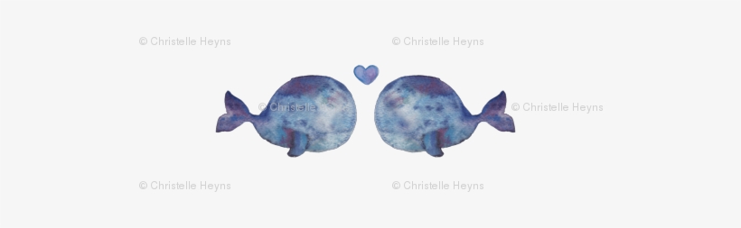 Whale, transparent png download