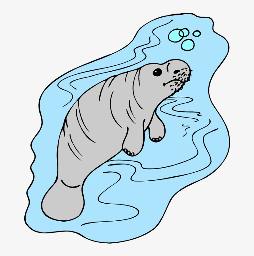 Manatee Clipart Cliparts And Others Art Inspiration - Manatee, transparent png download