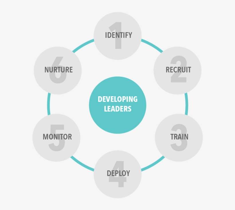 Circle Of Leadership - Ejemplo De Las 7s En Una Empresa, transparent png download