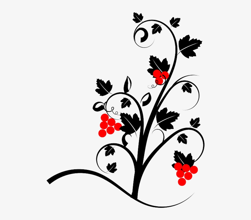 Vine, Wine, Plant, Red, Grape-vine, Nature - Psalm 27:1 Throw Blanket, transparent png download