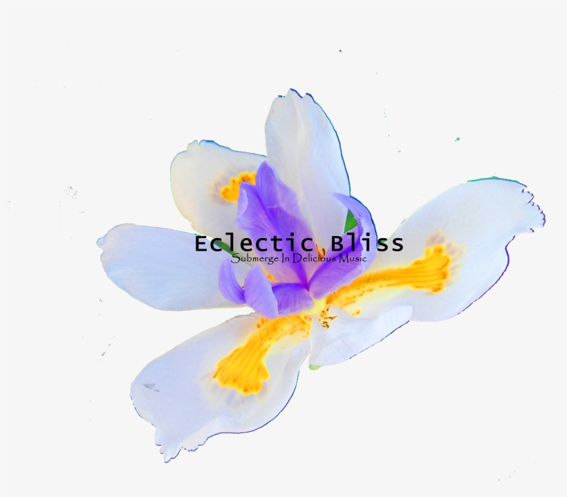 Nadine Burke Harris - Crocus, transparent png download