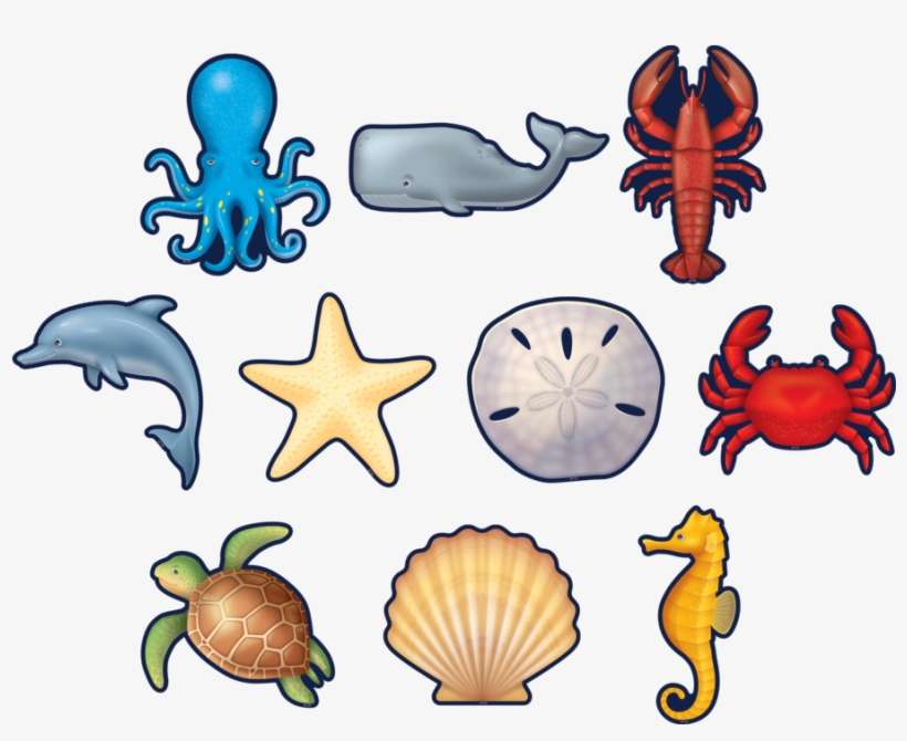 Tcr8895 Nautical Sea Life Accents Image - Classroom, transparent png download