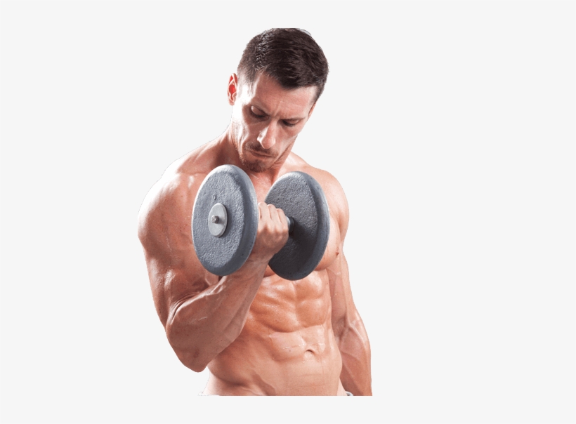 My Experience Muscle - Muscle Force, transparent png download