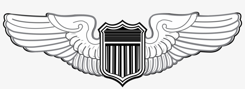 Military Badges Of The U - Air Force Nav Wings, transparent png download