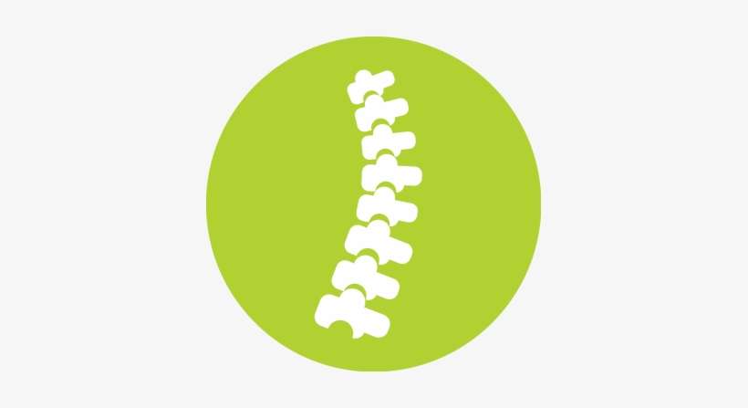 Spinal Cord Surgery - Spinal Cord Logo Png, transparent png download