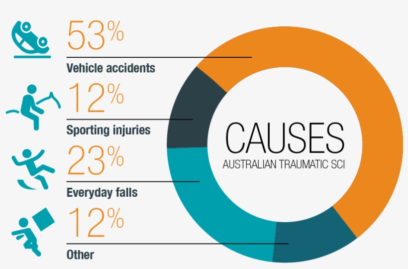 The Annual Cost Burden Of Spinal Cord Injury In Australia - Sports, transparent png download