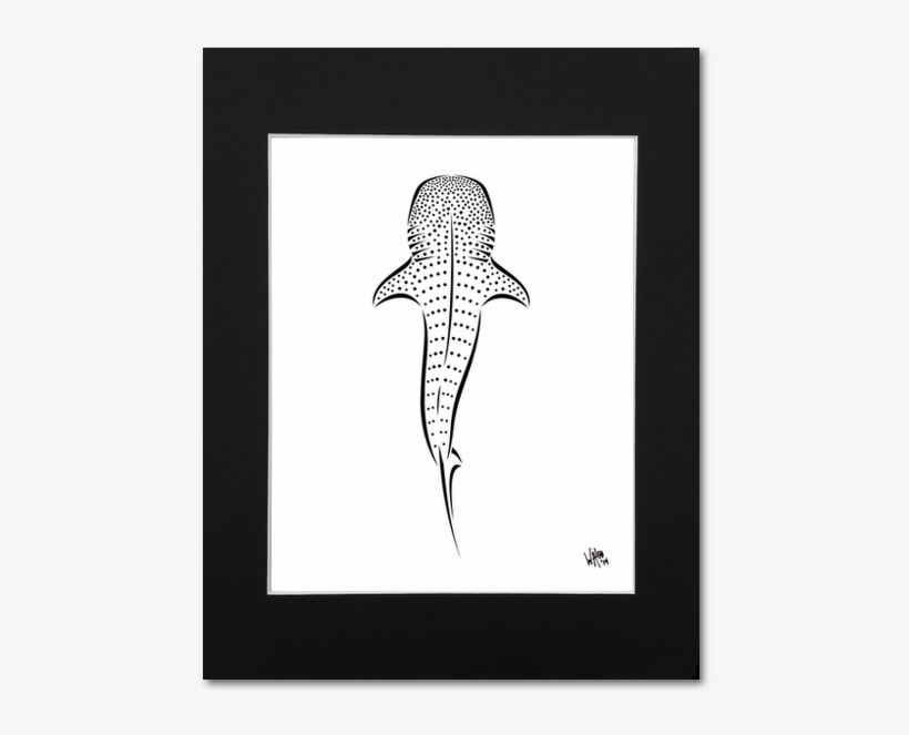 Whale Shark Art Print - Whale Shark, transparent png download