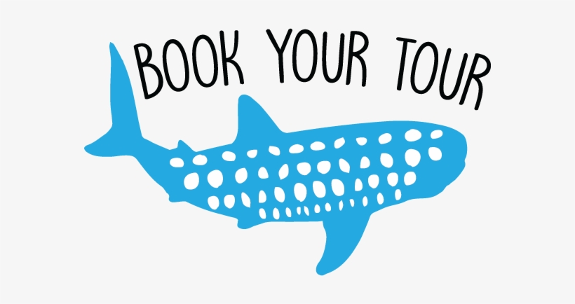 Of These Whales, And You'll Be Able To Accompany Them, transparent png download