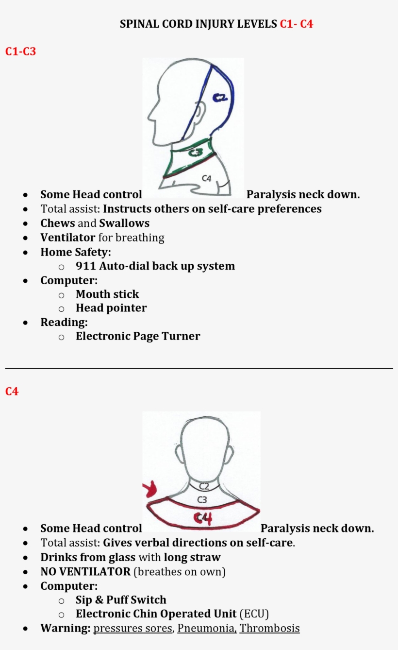 Spinal Cord Injuries C1-c4 Occupational Therapy Assistant, - Occupational Therapy, transparent png download
