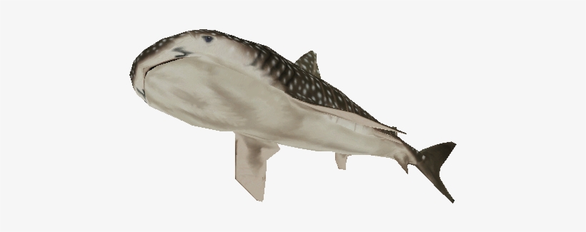 Download Zip Archive - Great White Shark, transparent png download