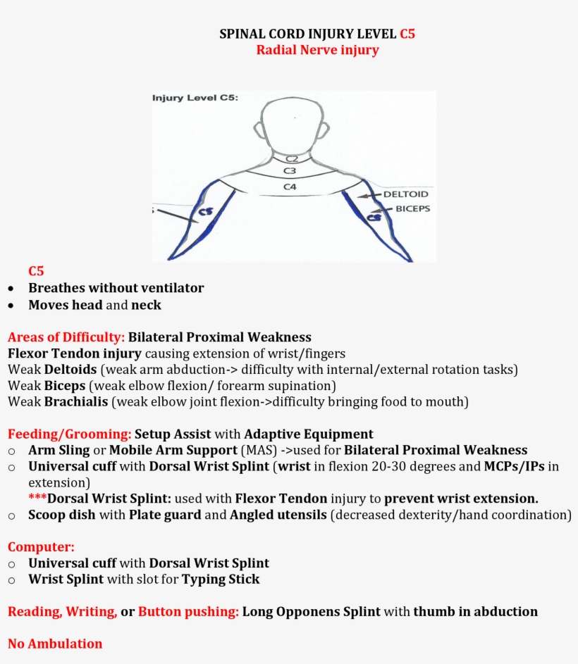 Spinal Cord Injuries - Occupational Therapy, transparent png download
