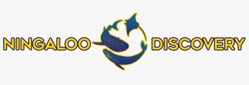 Exmouth Whale Shark Tours - Whale Shark Logo, transparent png download