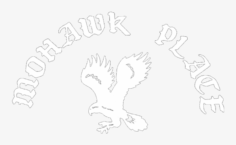 Buffalo's Mohawk Place, transparent png download