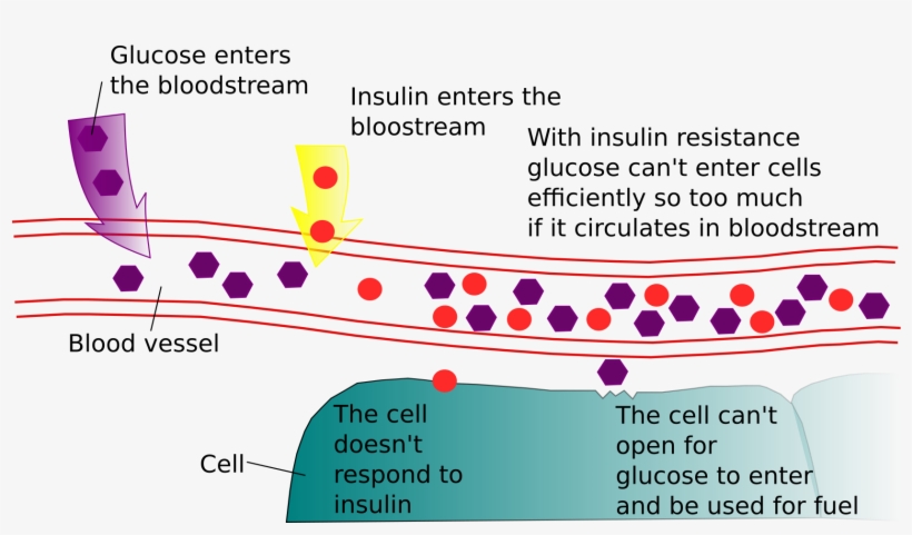 This Free Icons Png Design Of Diabetes And Insulin, transparent png download