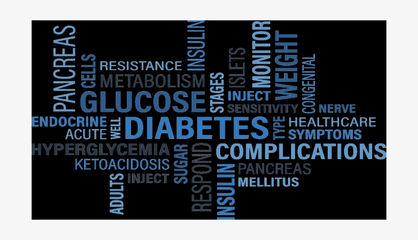 6m Invested In New Research To Reduce Risk Of Type - Will Eat The Fatties First, transparent png download