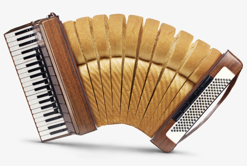 Accordionweb Accordion PNG Image Transparent PNG Free Download on