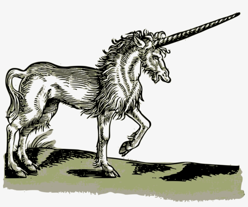 Unicorn Historia Animalium Legendary Creature Medieval - Monsters And Dragons By Johanna Lehner & Ernst, transparent png download