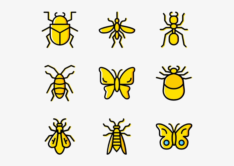 Bugs & Insects 50 Icons - Insects Png, transparent png download