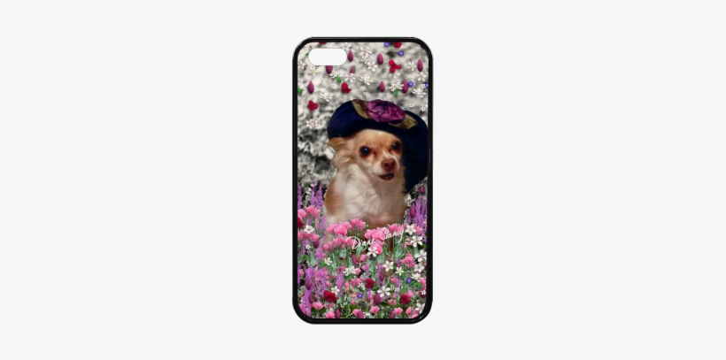 Chi Chi In Pink White Flowers, Chihuahua Puppy Dog - Chi Chi The Chihuahua In Flowers Shower Curtain, transparent png download