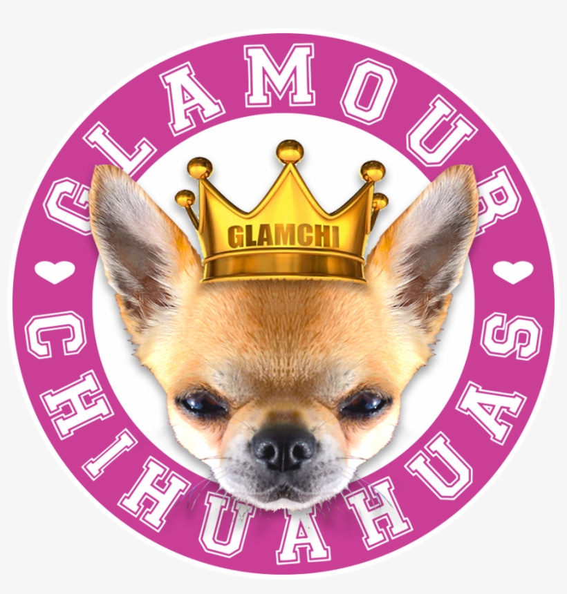 Breeding Pets Chihuahuas - Harry Potter 93 4, transparent png download