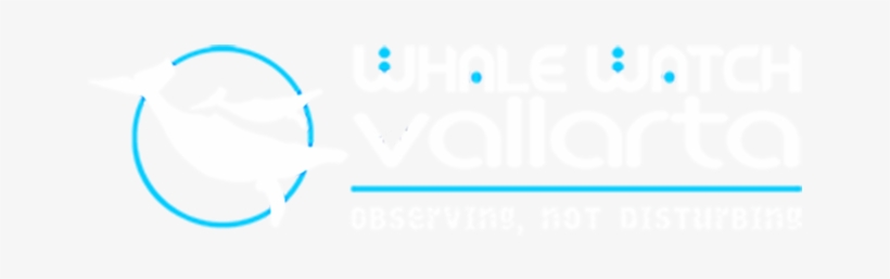 Whale Watching Tours Puerto Vallarta Mexico - Puerto Vallarta, transparent png download