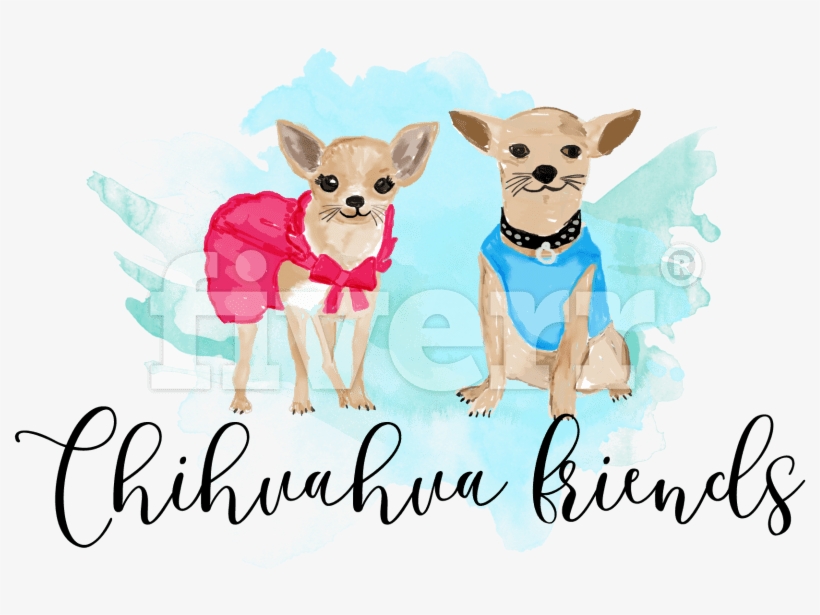 Chihuahua, transparent png download