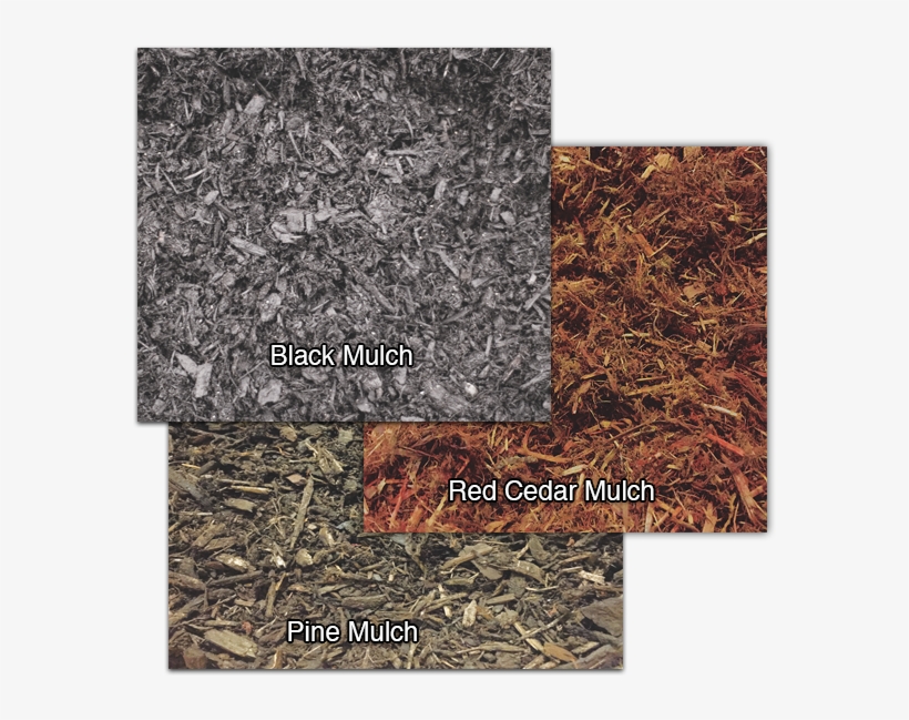 Mulch In New Hampshire - Gravel, transparent png download