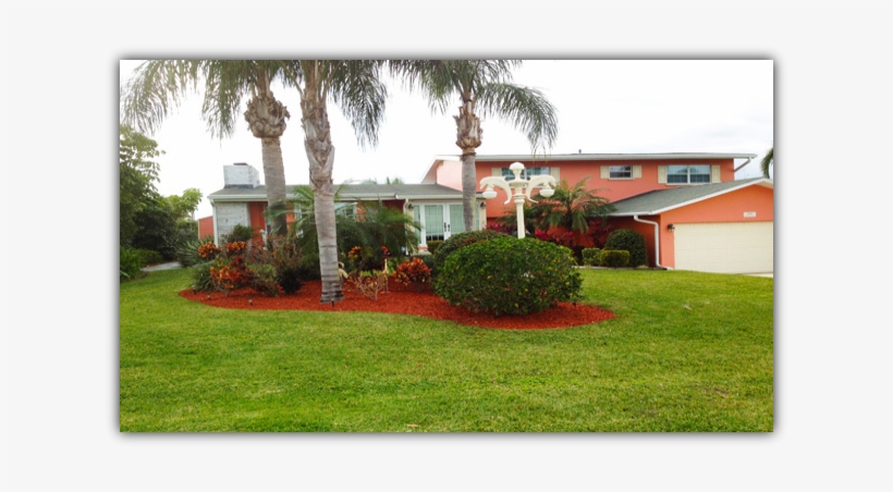 Sebastian Mulch Service - Mulch And Palm Trees, transparent png download