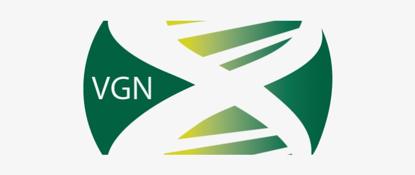 You Are Here - Graphic Design, transparent png download