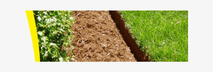 Mulch - Field, transparent png download