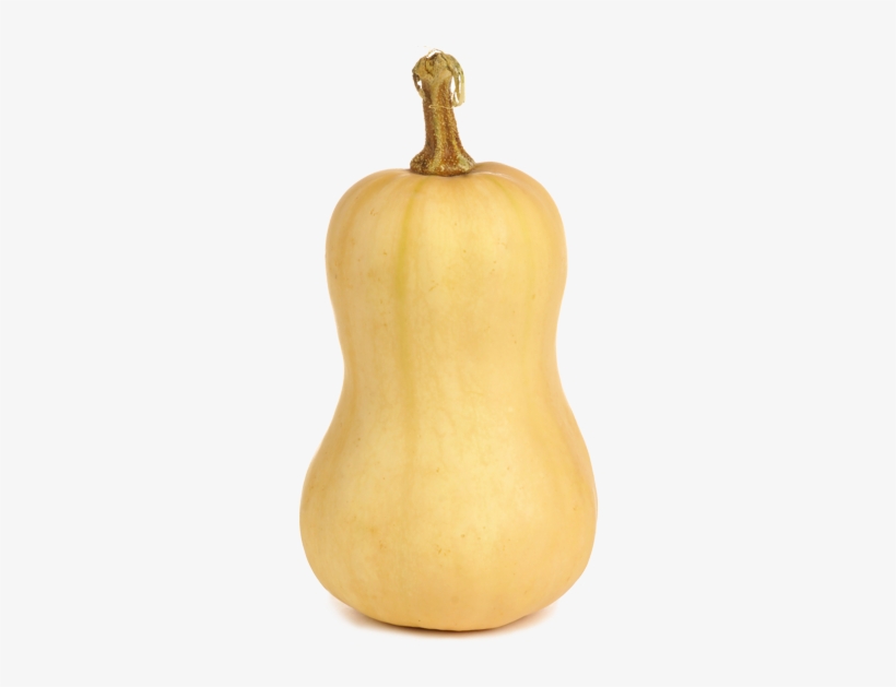 Butternutsquash - Gourd, transparent png download