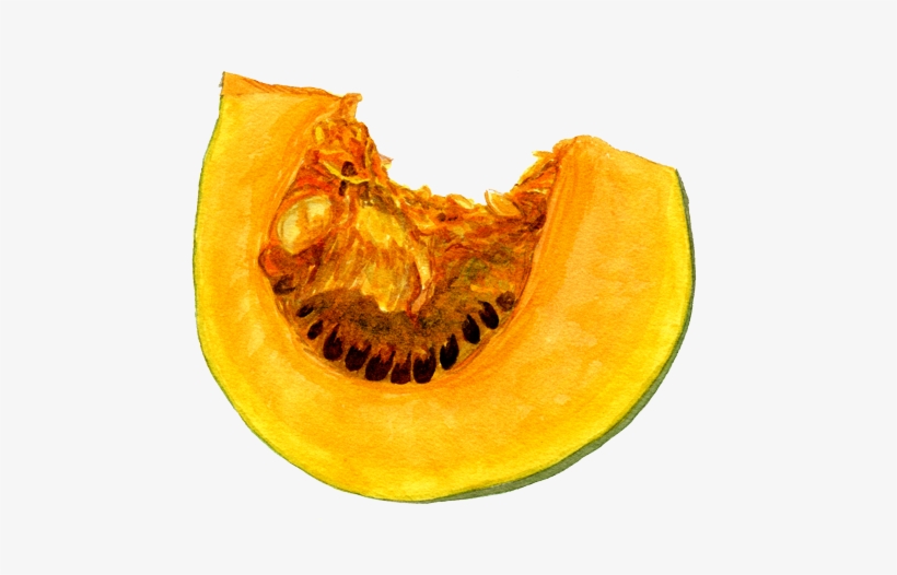 Winter Squash, transparent png download