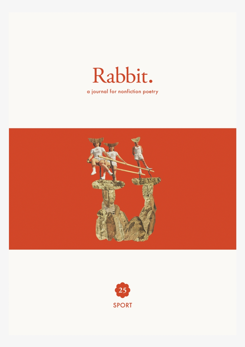 Rabbit Sport Within Australia Rabbit Poetry Png Rabbit - Black Rabbit, transparent png download