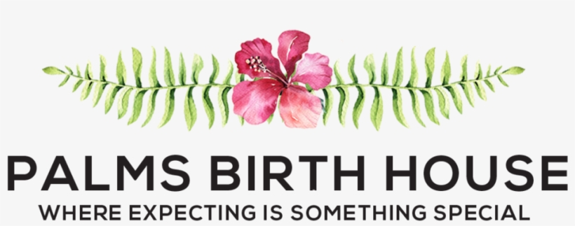 Palms Alternate New - Tropische Hawaiische Blumen-elegante Karte, transparent png download