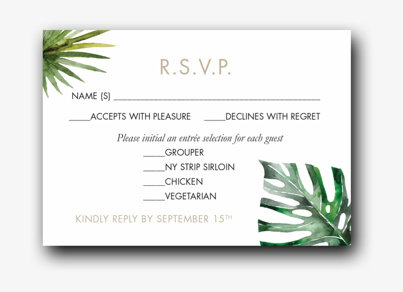 Tropical Palms - Dot & Bo, Inc., transparent png download