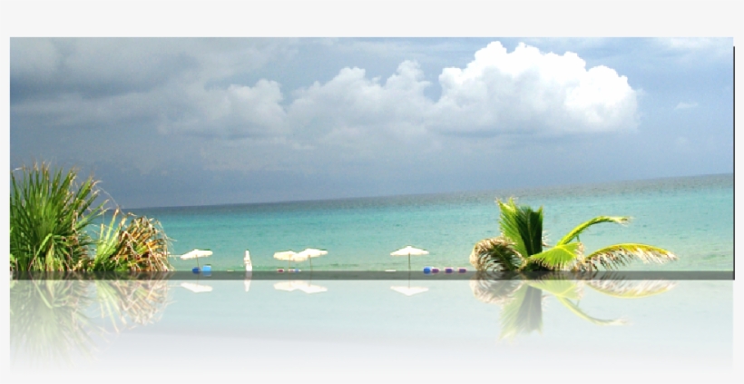 Palm Beach Watercolor Society Celebrated Its 30th Anniversary - Anniversary, transparent png download