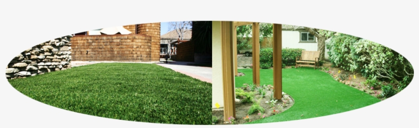 Imagine Having A Gorgeous, Green Lawn All Year Long - Backyard, transparent png download