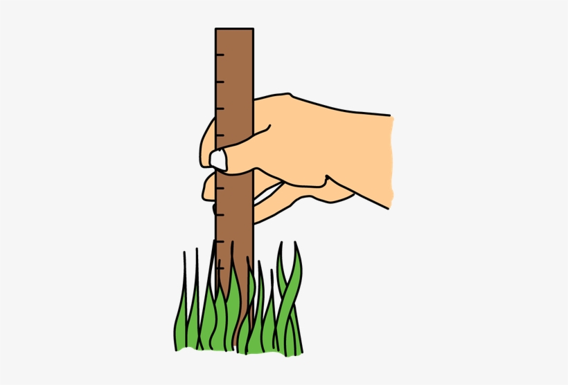 Leave Your Grass Long - Lawn, transparent png download