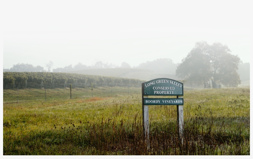 Deford Family, Props - Sweet Grass, transparent png download