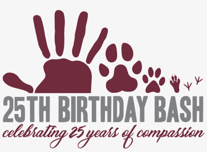 Berkshire Humane Society 25th Birthday Bash - Donald Trump, transparent png download