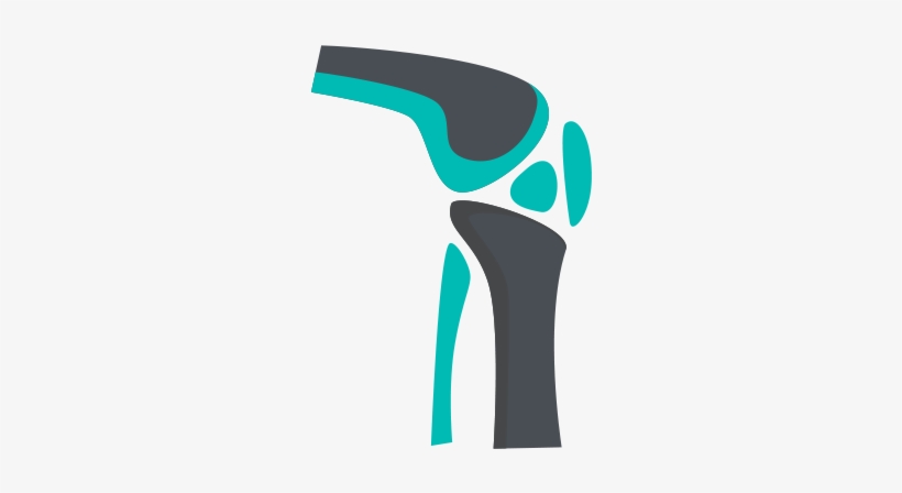 Bones & Joints Care - Orthopedic Png, transparent png download