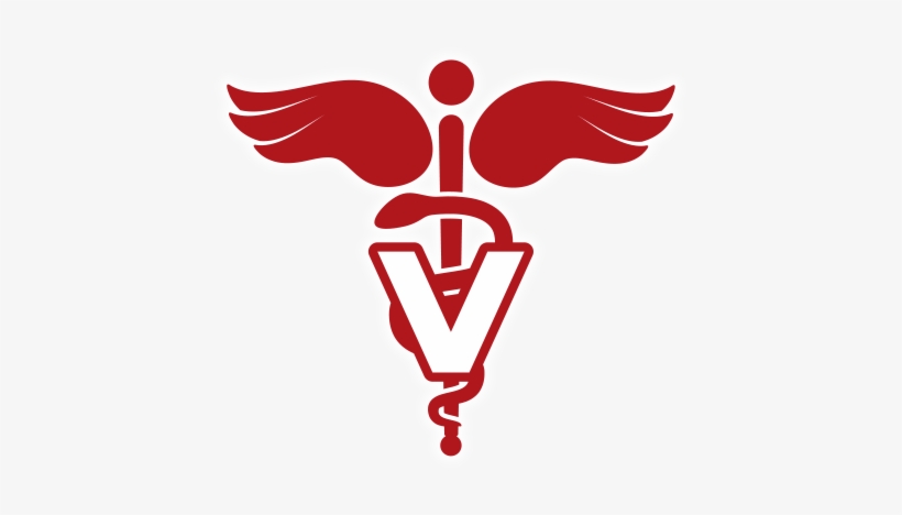 Vet Plus Pet Mobile Veterinary Services - Internal Medicine, transparent png download