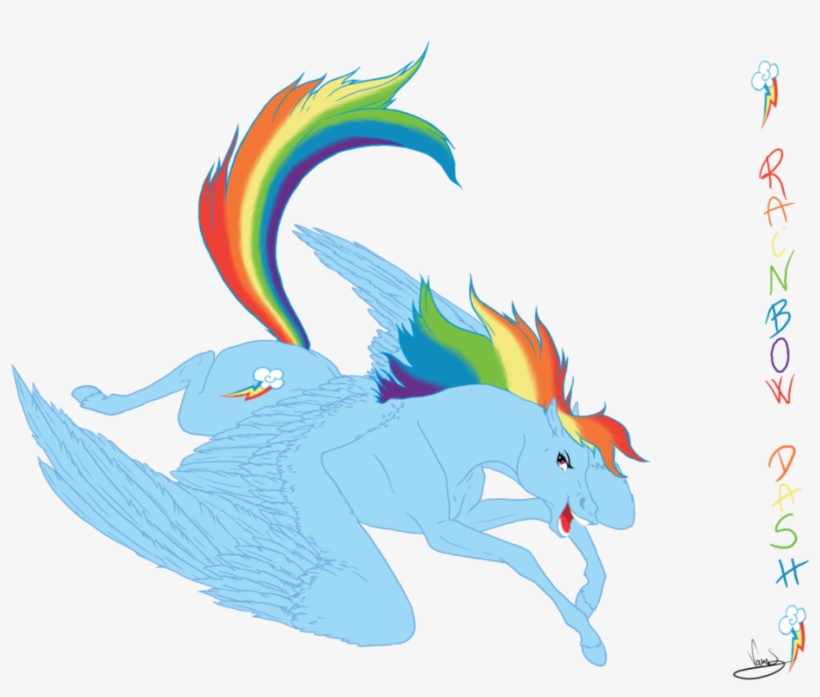 Banner Black And White Stock Rainbow Dash By Vanycat - Realistic Rainbow Dash, transparent png download