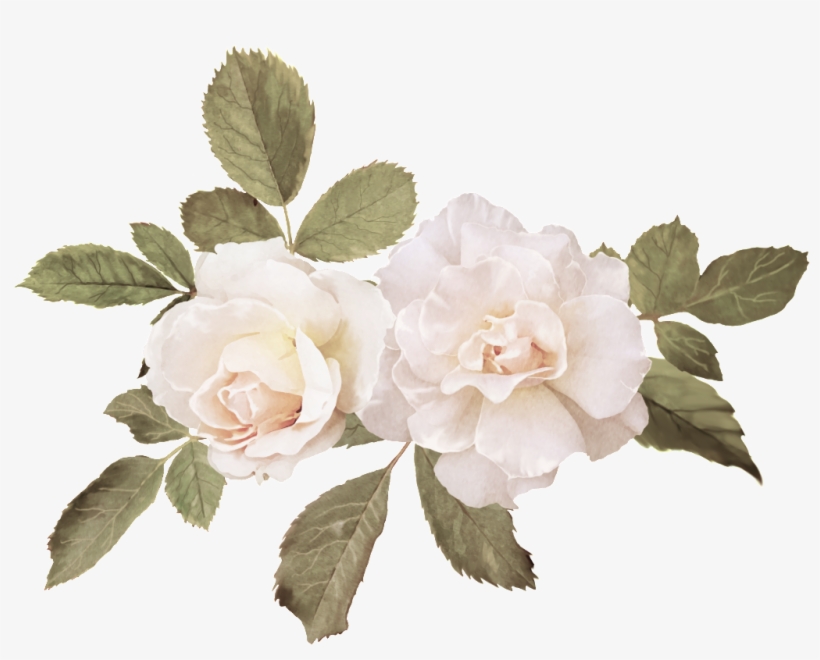 Hand Drawn Realistic Flower - Watercolor Painting, transparent png download