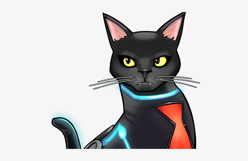 Black Cat Black Widow Icon - Black Widow Cat, transparent png download