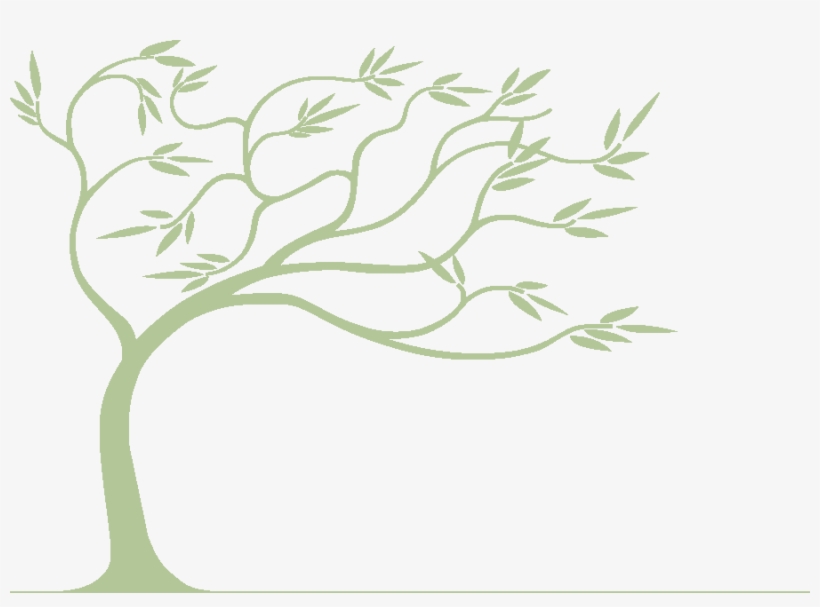 Matt And Wendy Quirky Camping - Willow Tree, transparent png download