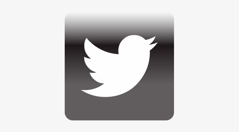 Podcast Twitter Icon Pink Twitter Icon Transparent Png Image Transparent Png Free Download On Seekpng