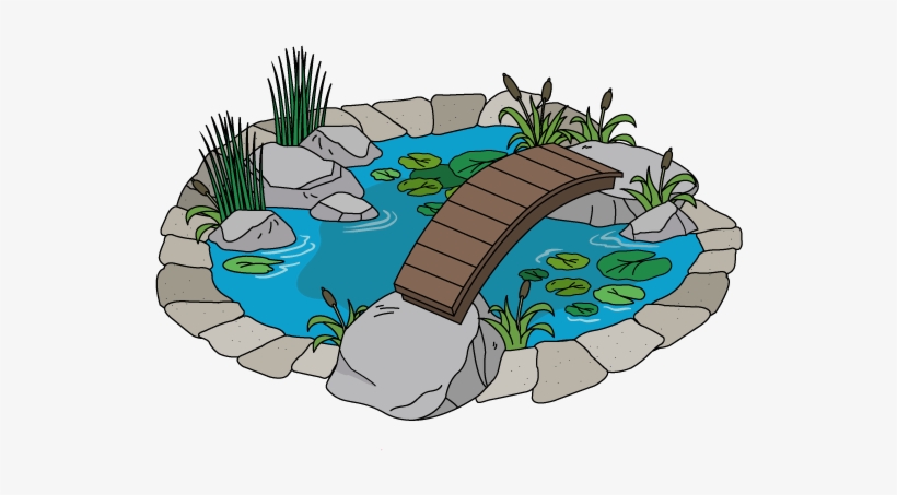 Deco Koi Pond - Illustration, transparent png download